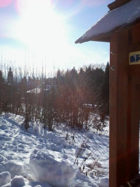 2012-12-29 10.31.16